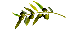Dal 5 novembre al 31 dicembre 2020 la Comunità Montana dei Laghi Bergamaschi, grazie al supporto ed alle strumentazioni tecniche della Comunità Montana del Sebino Bresciano, attiverà il servizio di analisi per l’olio di oliva.
