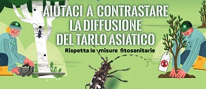 Il Servizio Fitosanitario di Regione Lombardia informa che sul territorio delle province di Bergamo e Brescia sono stati recentemente ritrovati nuovi focolai del parassita delle piante noto con il nome di Tarlo asiatico del fusto. E' importante la collaborazione di tutti per contrastare la sua diffusione secondo le indicazioni riportate in questa pagina internet.