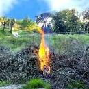 la Giunta regionale ha stabilito il divieto di combustione in loco di piccoli cumuli non superiori a tre metri steri per ettaro dei residui vegetali agricoli o forestali dal 15 ottobre al 15 aprile di ogni anno.
